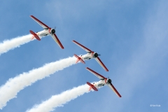 NORTH-AMERICAN-T-6-TEXAN