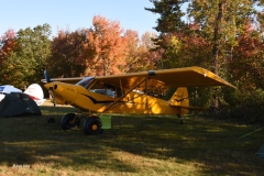 PA-18-REPLICA