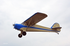 BCS-12D