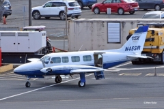 PIPER-PA-31-350-ISLAND-BIRDS